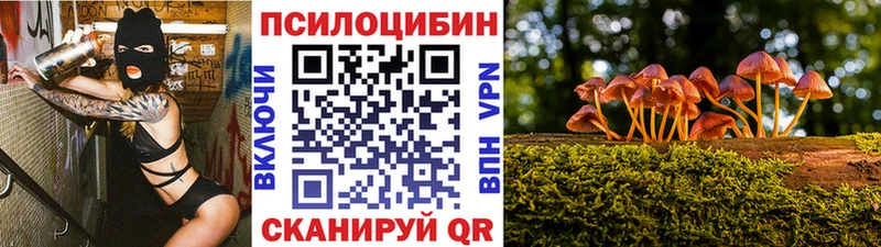 Купить закладки  Ивангород  Псилоцибиновые грибы мухоморы 